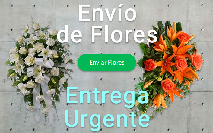 Envio de flores urgente a Tanatorio Santa Cruz